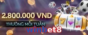 winbet8