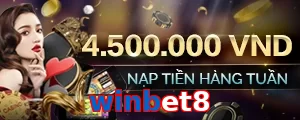 winbet8