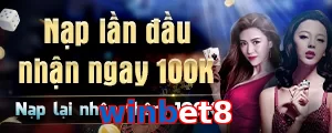 winbet8