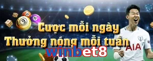 winbet8